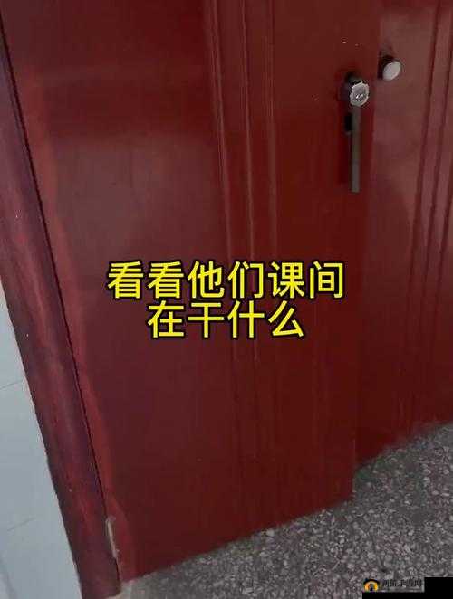 震惊这个社团竟然全是近亲，他们在干什么？