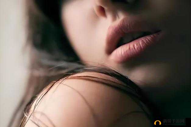 风流老太婆 BBwwBBww 高潮：一场情欲的盛宴