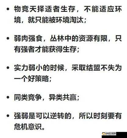 丛林法则生存战术深度解析，掌握猥琐策略，方能笑到最后并生存无忧
