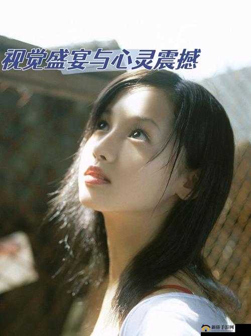 国产成人精品 OV 在线观看 88：一场视觉与心灵的盛宴