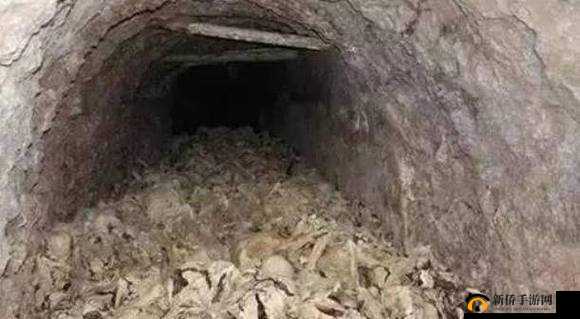 东北大坑乱 1—23：关于其历史与现状的详细探究