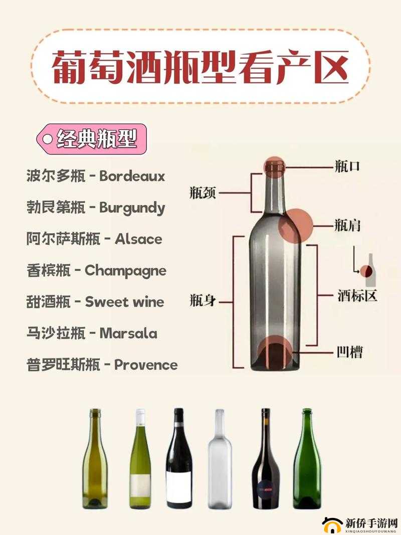 让红酒瓶进出口述，带我们领略世界美酒的魅力