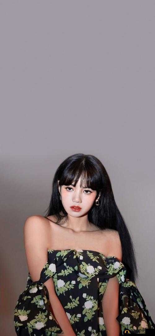 Lisa XXXXX HD：关于它的详细介绍与全面解析