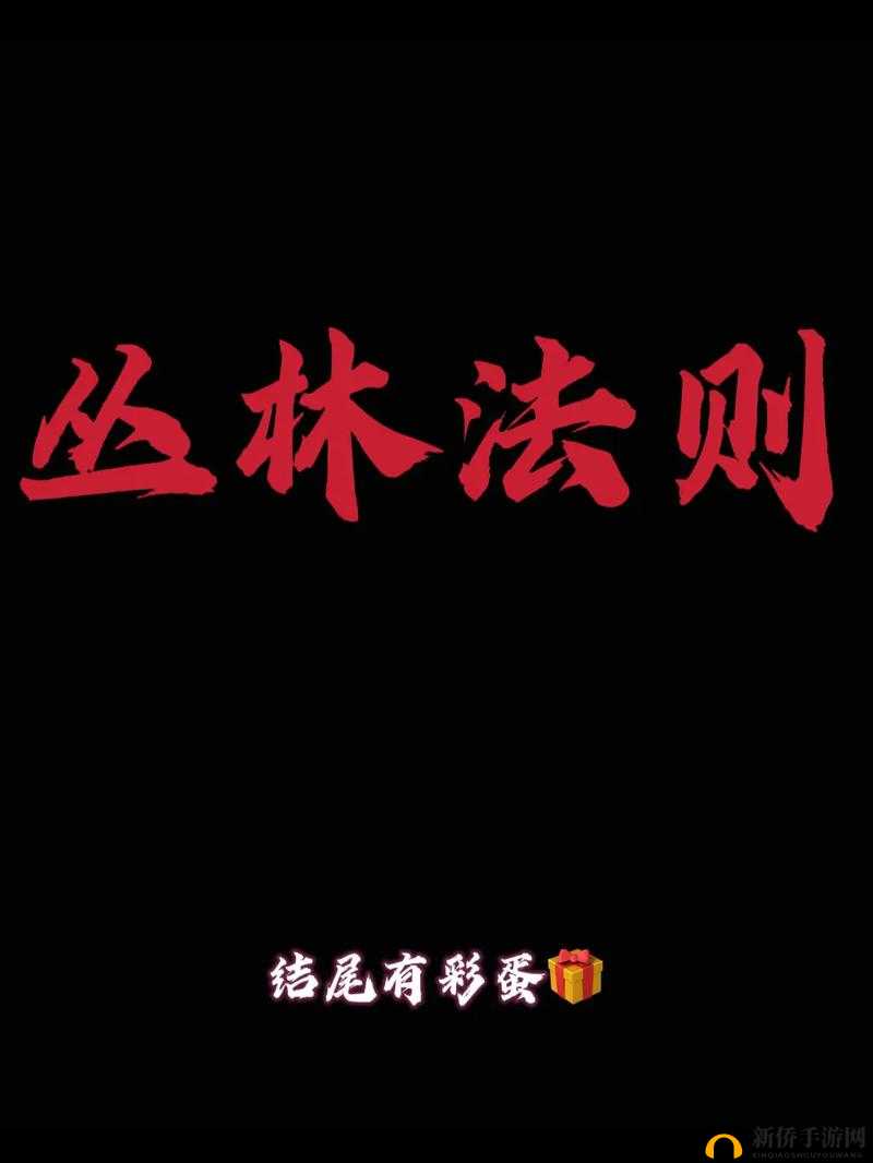 丛林法则下的生存与竞争，探索自然界与人类社会的智慧策略