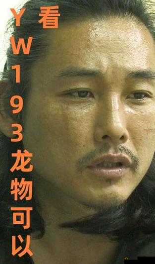 YW193 龙物地址相关精彩内容等你来探索