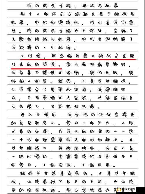 HDHDHD17XXXⅩ：一段充满未知与惊喜的神秘之旅