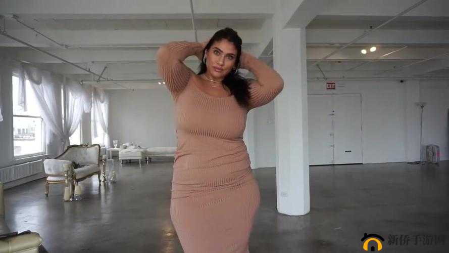 欧美老妞 bbwhd 的别样精彩故事