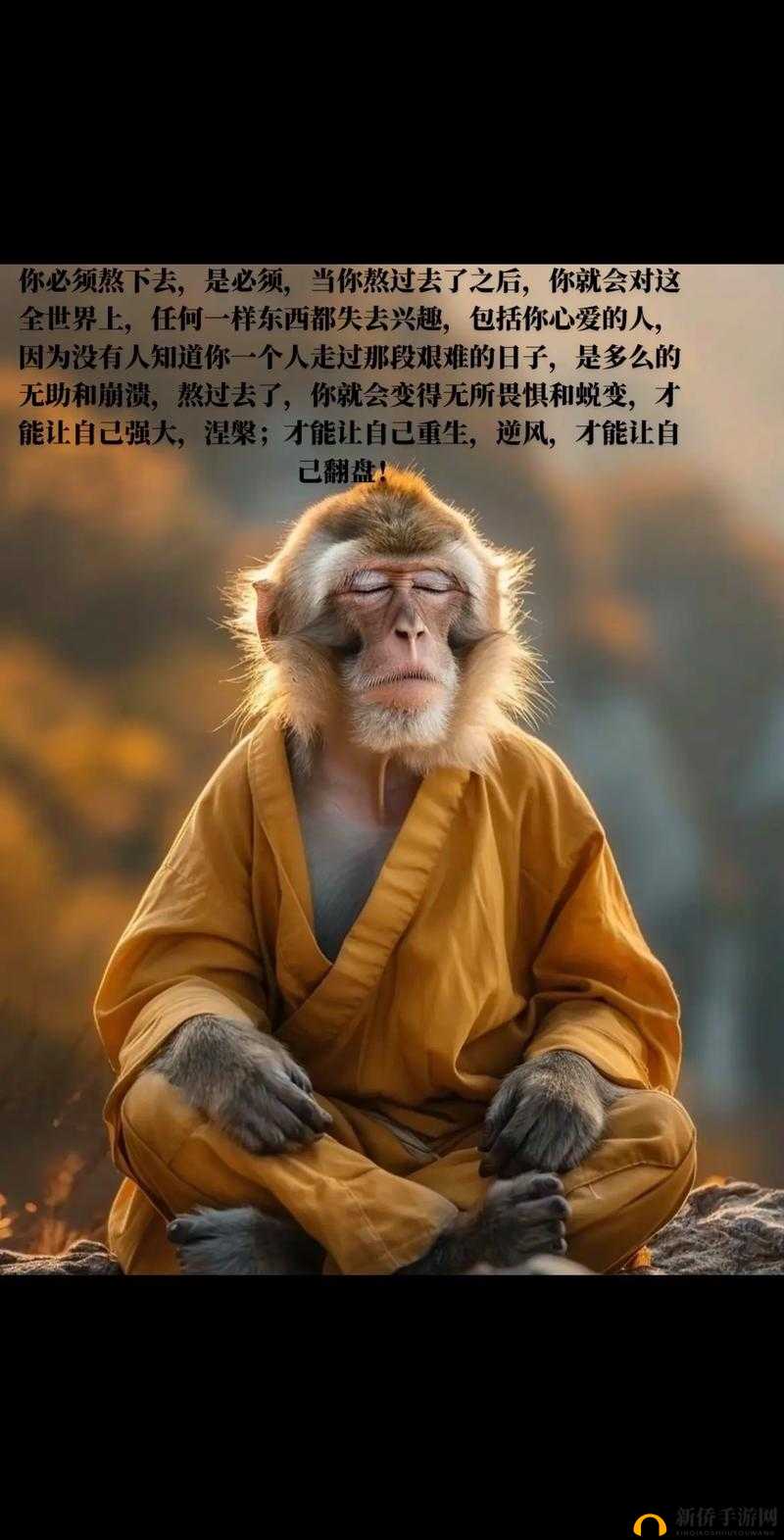 醉仙武中的浪漫之旅，探索从单身冒险到双人世界的甜蜜蜕变