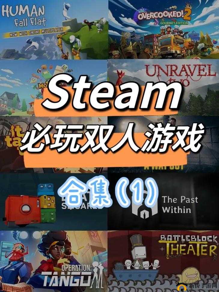 双人游戏大全：涵盖多种类型的精彩双人游戏集合