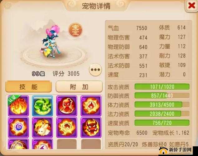 西游女儿国战侠角色宠物搭配与选择全面深度攻略