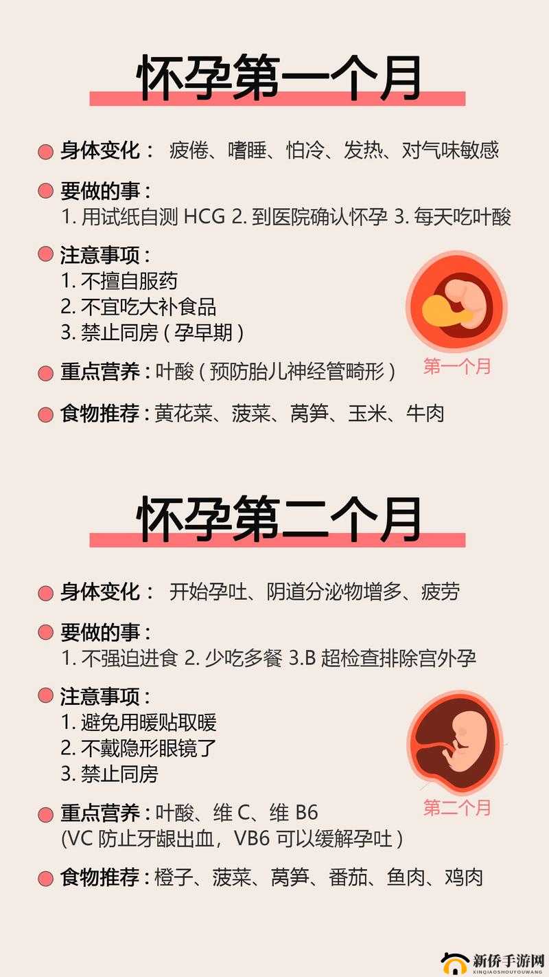 如何让母亲成功怀孕的科学方法与注意事项