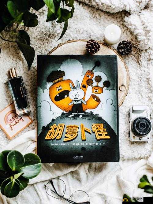 吉泽布明的传奇人生故事：从平凡到不凡的历程