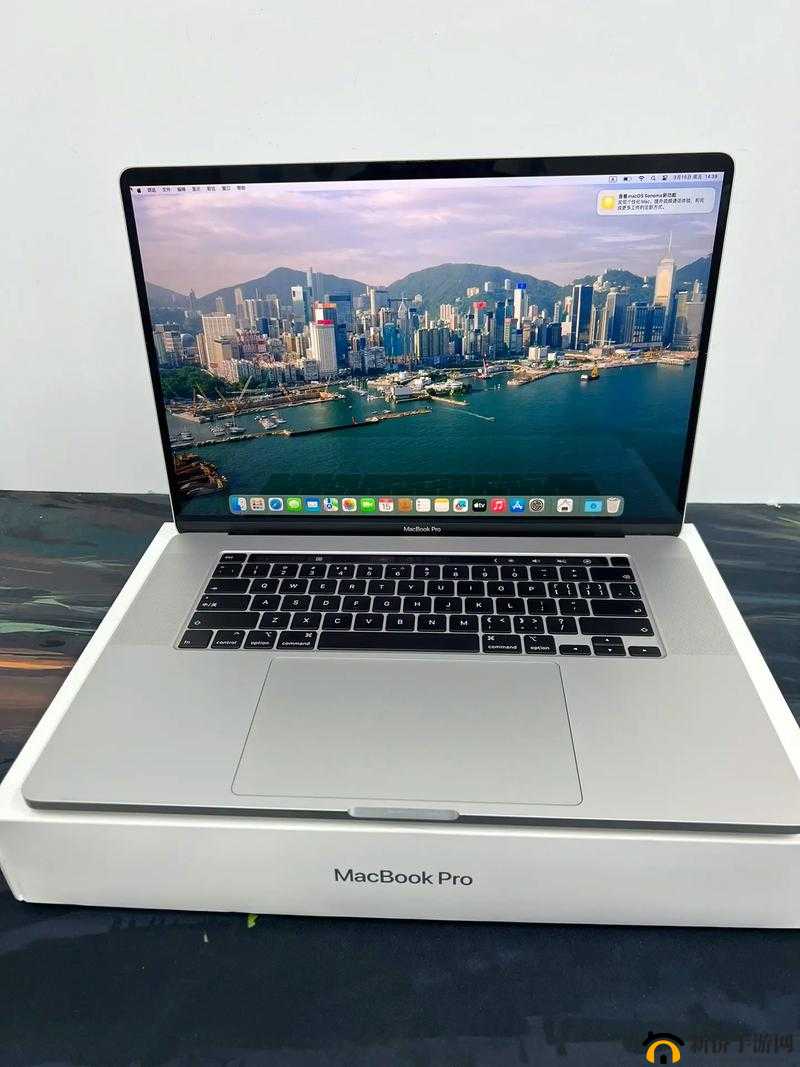 中国 macbookpro 高清在线：畅享极致视觉体验