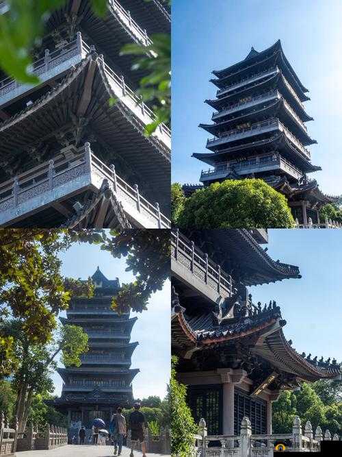 清风阁很很干：关于其独特之处与深入探究分析