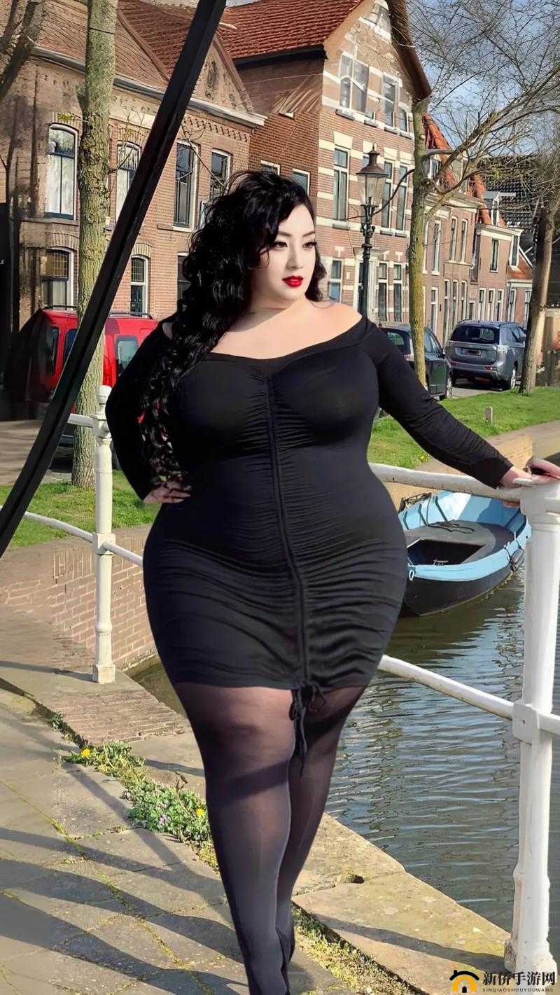 各种女 BBWBBwBBw 么：探索丰满之美