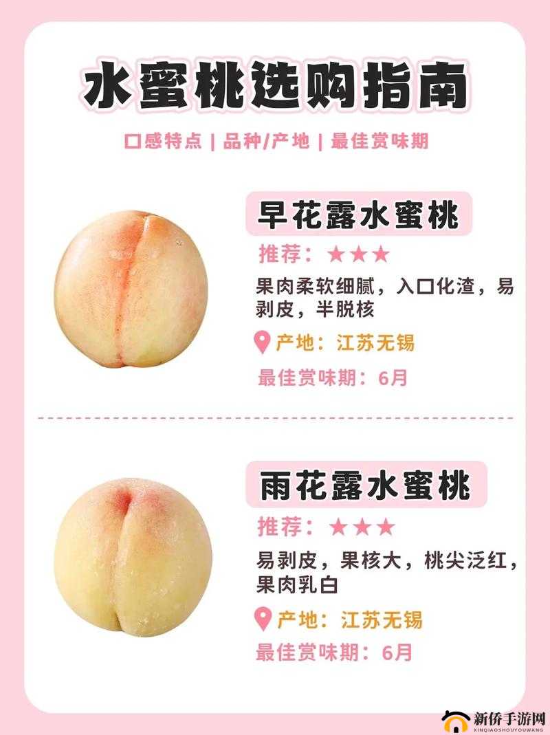 日本水蜜桃品种岭风，为何如此受欢迎？