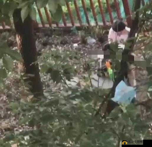 班长上课没看穿罩子视频：引发热议的校园事件