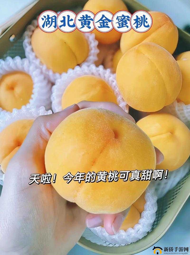 黄桃 b 站的独特魅力与精彩呈现