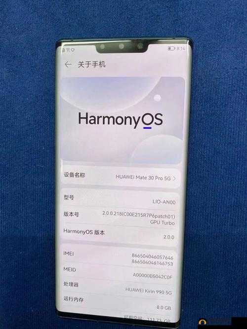 欧美无 mate30pro 巨：关于其功能与特点的详细介绍