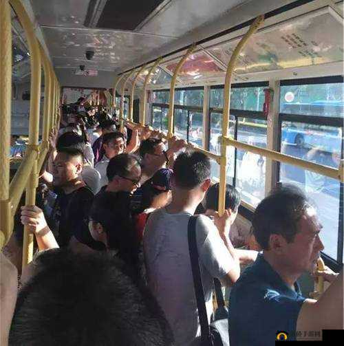 在公交车最后一排被多人：一场意想不到的车厢奇遇