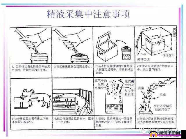 麻豆精产最简单处理方法：实用技巧与注意事项