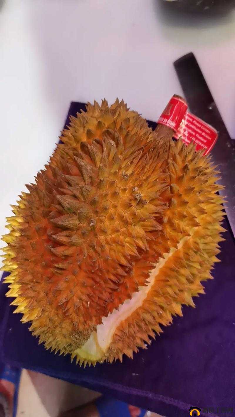 8008 幸福宝入口榴莲分类专区：发现幸福的秘密花园