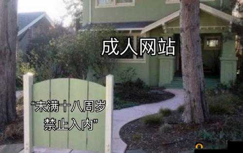 无码做爰视频 WWW 网站建设：打造纯净的成人视频分享平台