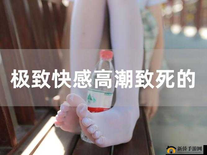 1024 毛片女人高潮极致体验震撼来袭