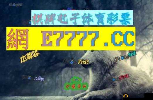 九幺网站 NBA 下载安装：流畅观看赛事的绝佳选择