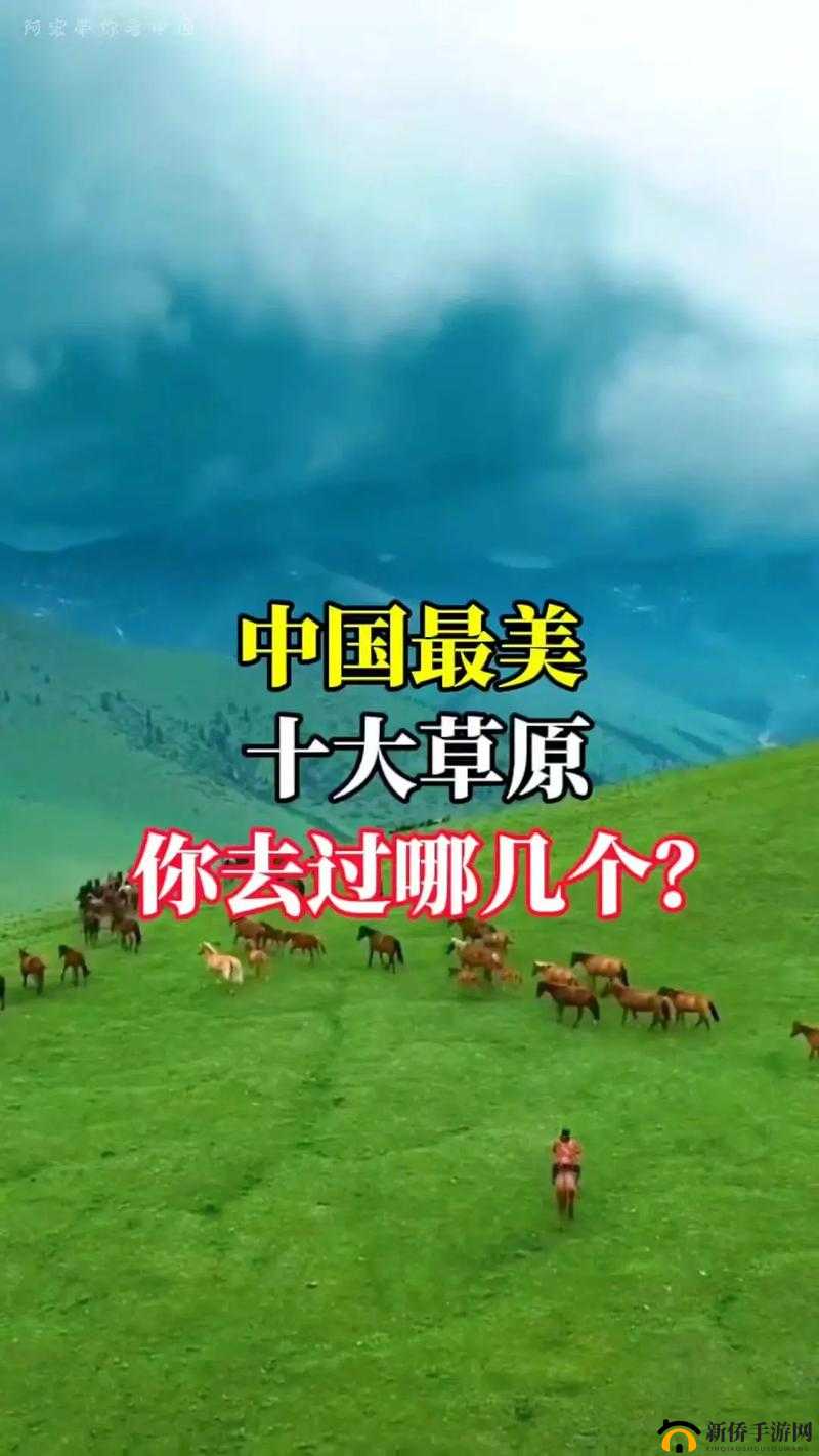 青青草原国产：一片充满生机与希望的神奇之地