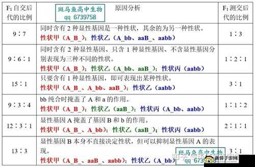 69xⅩ：一个具有特殊意义和价值的组合