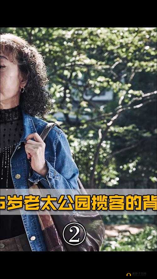 公园里的老年镖客视频大全停播了：经典不再，回忆永存
