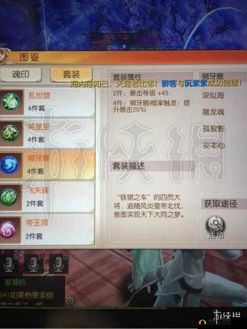 九州天空城3D游戏攻略，深度解析羽芒宠物的选择与搭配技巧