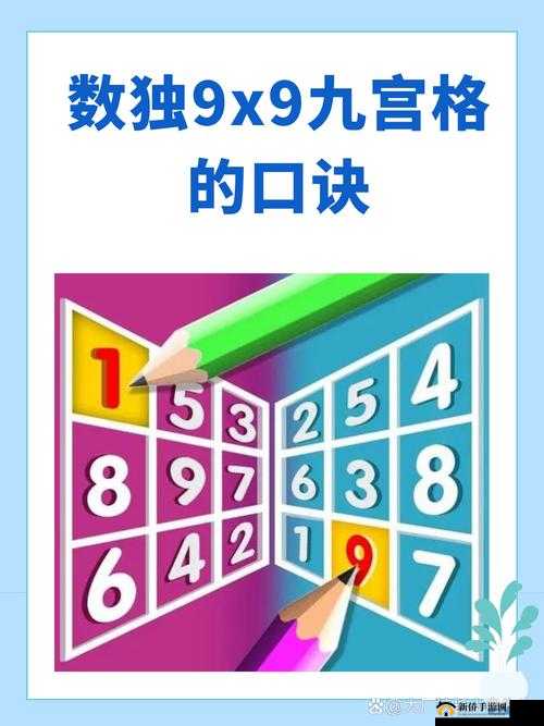 9x9x9x9x9x 任意槽使用方法之详细解读与实际应用举例