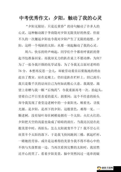 追寻真善美的心善的小 子 2：在虚拟世界中寻找心灵的归属