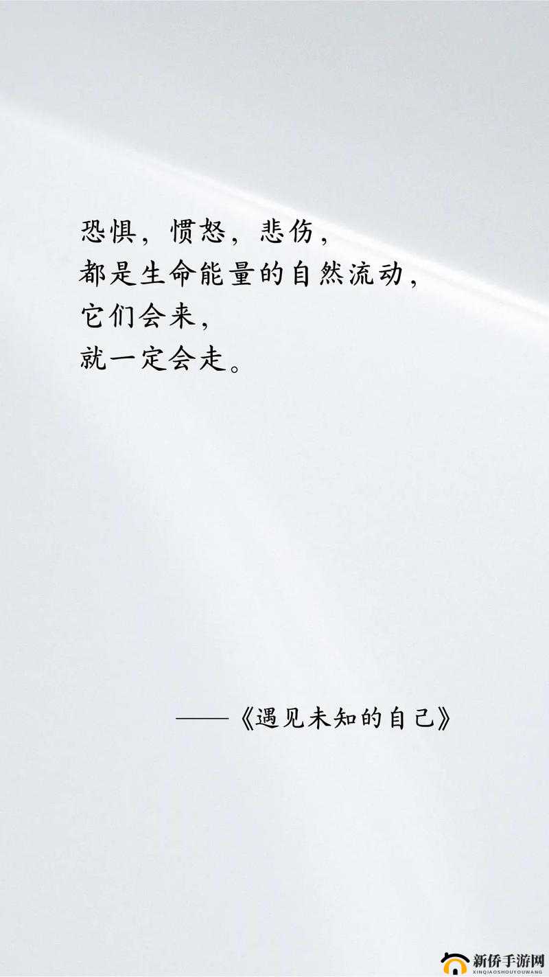 抬头看镜子，我们继续，探索内心的未知领域