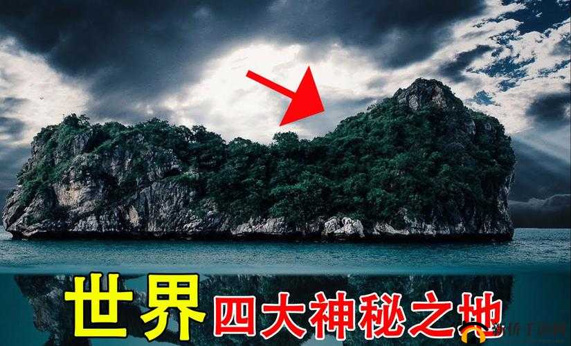 汤姆叔叔最新地域网：揭秘网络背后的神秘世界