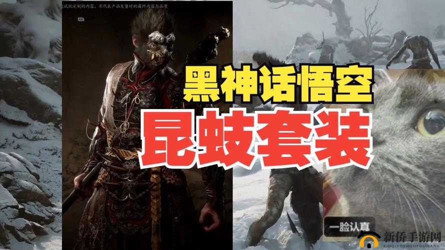昆蚑套装上衣怎么获得：详细获取攻略与途径介绍