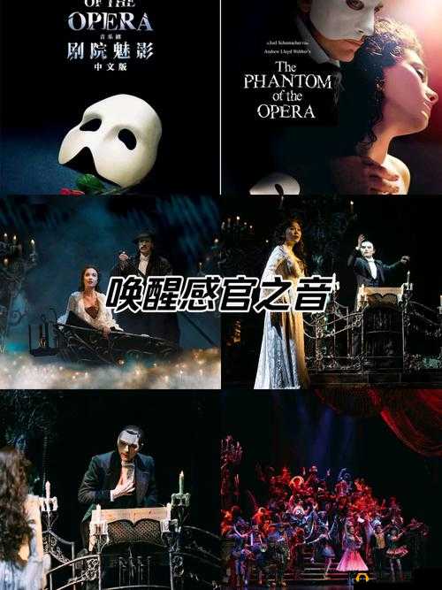 完整了解魅影视频：探寻其背后的神秘魅力与故事