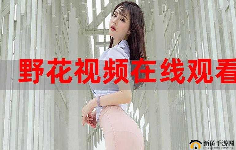 野花日本手机观看大全免费 3：畅享精彩影视无需付费