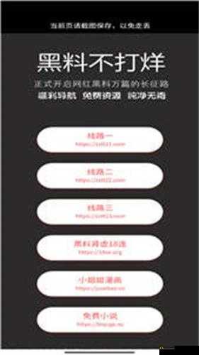 黑料正能量官网永久地址：探索其背后的独特魅力与价值