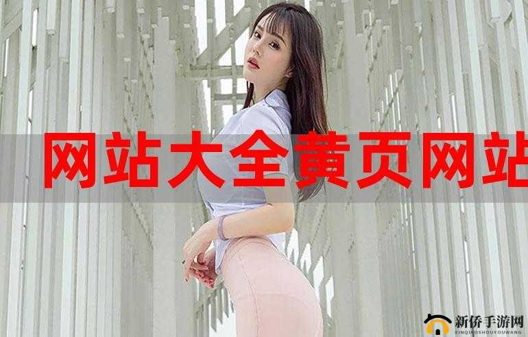 黄金网站 app 视频大全下载：一站式视频资源平台