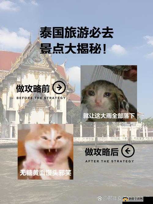 泰国性猛交超高清精彩内容大揭秘
