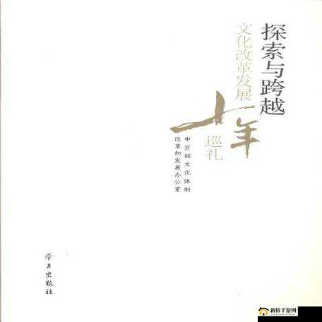 中国小伙子 GayFucKSex：一场跨越文化与性别的探索之旅