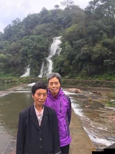 51cg 莫里秀找爹综艺：一场独特的寻亲之旅