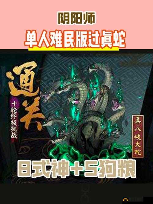 阴阳师高手必备，单人通关真八岐大蛇十层全面策略与技巧解析