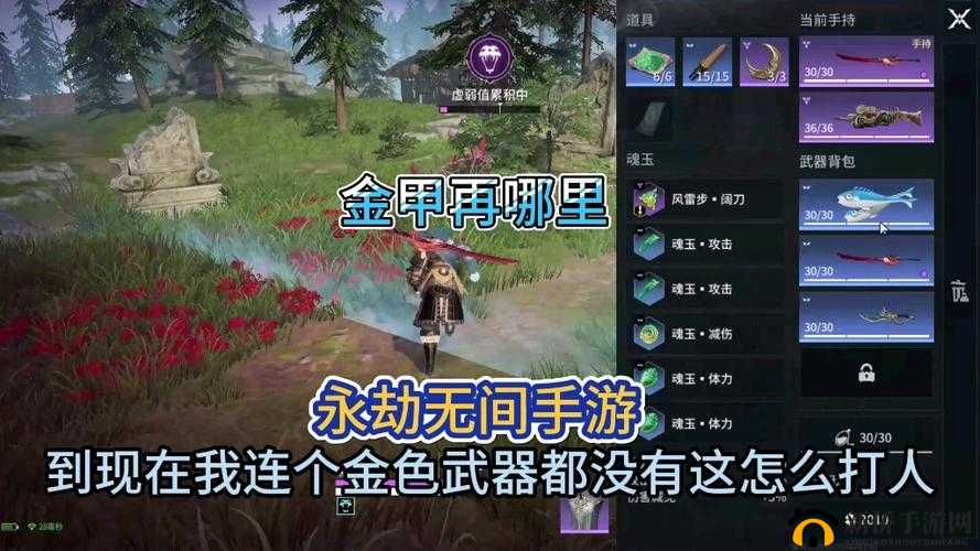 寻仙手游金甲位置全面解析及其在游戏资源高效管理中的重要性探讨