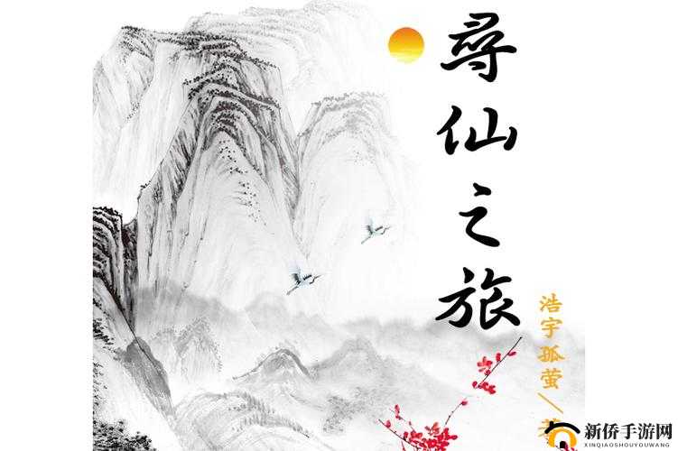 寻仙探秘之旅，深入解读寻龙天赋，揭秘小花卷宝箱的神奇之谜