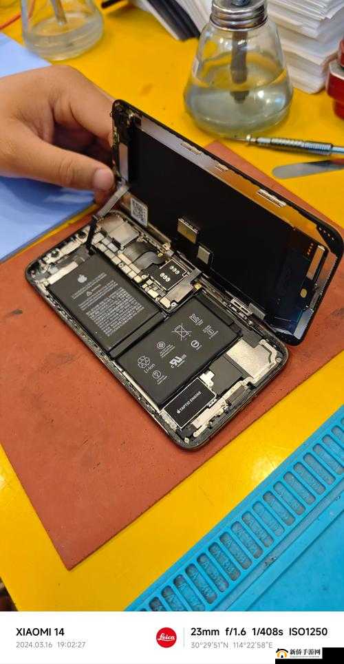 欧美 IPHONEXSMAX 大量精彩内容，不容错过