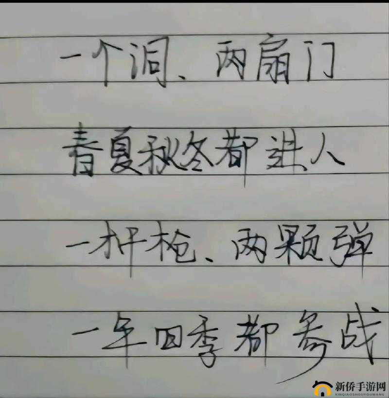 提枪直入两扇门视频：深度剖析其背后的故事与意义